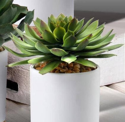 Faux Potted Succulents - 4 Types