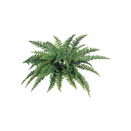 Boston Fern Artificial Plant - Uv Resistant Indoor/Outdoor