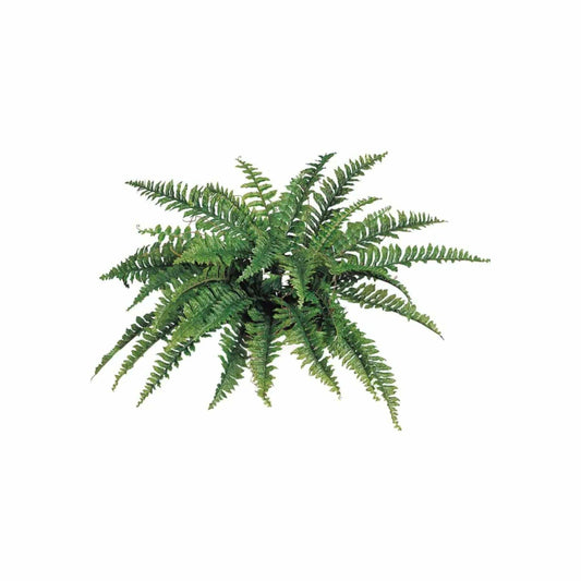 Boston Fern Artificial Plant - Uv Resistant Indoor/Outdoor