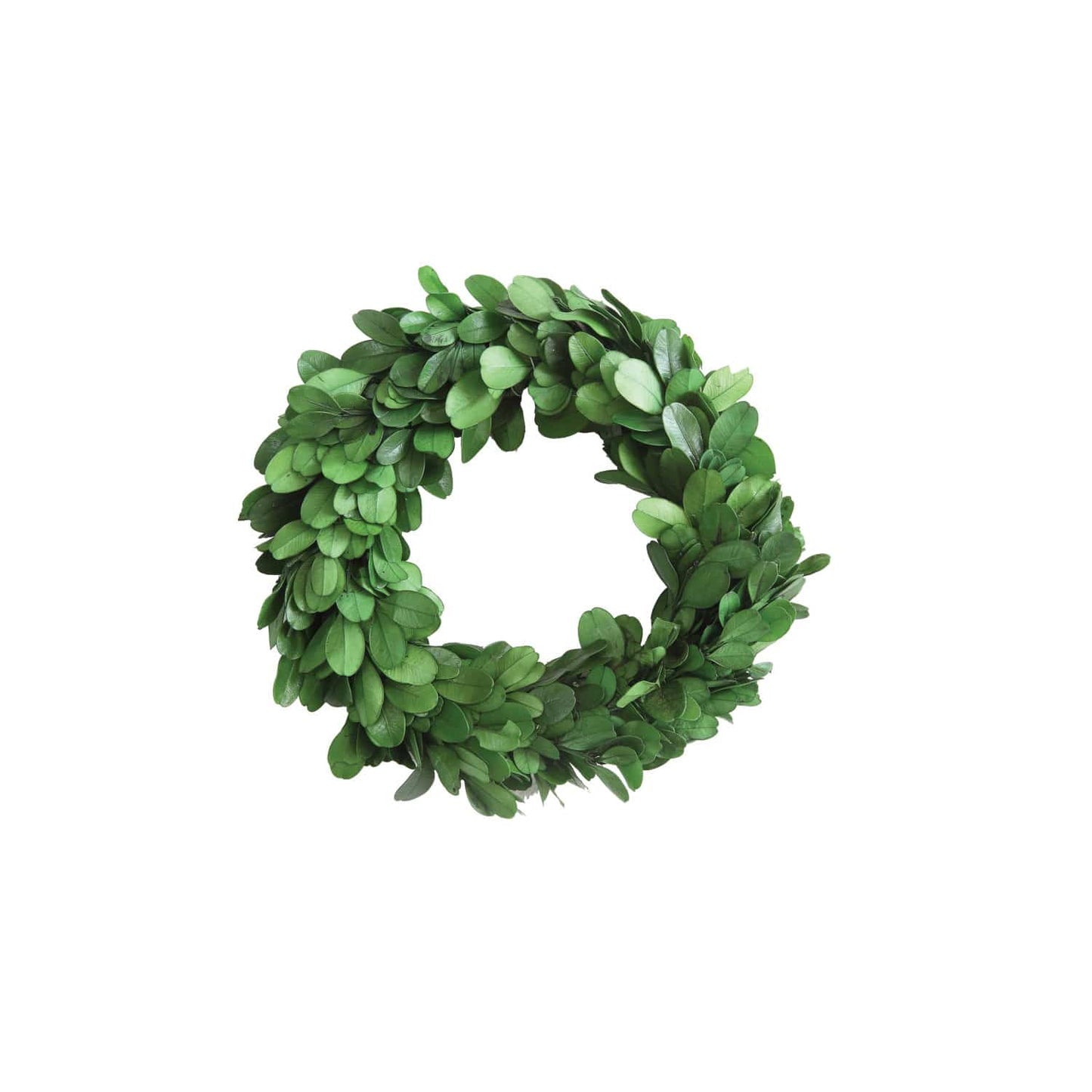 6" Preserved Boxwood Wreath