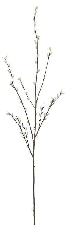 53" Pussy Willow Branch