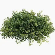 9" Greenery Dome Dark Green