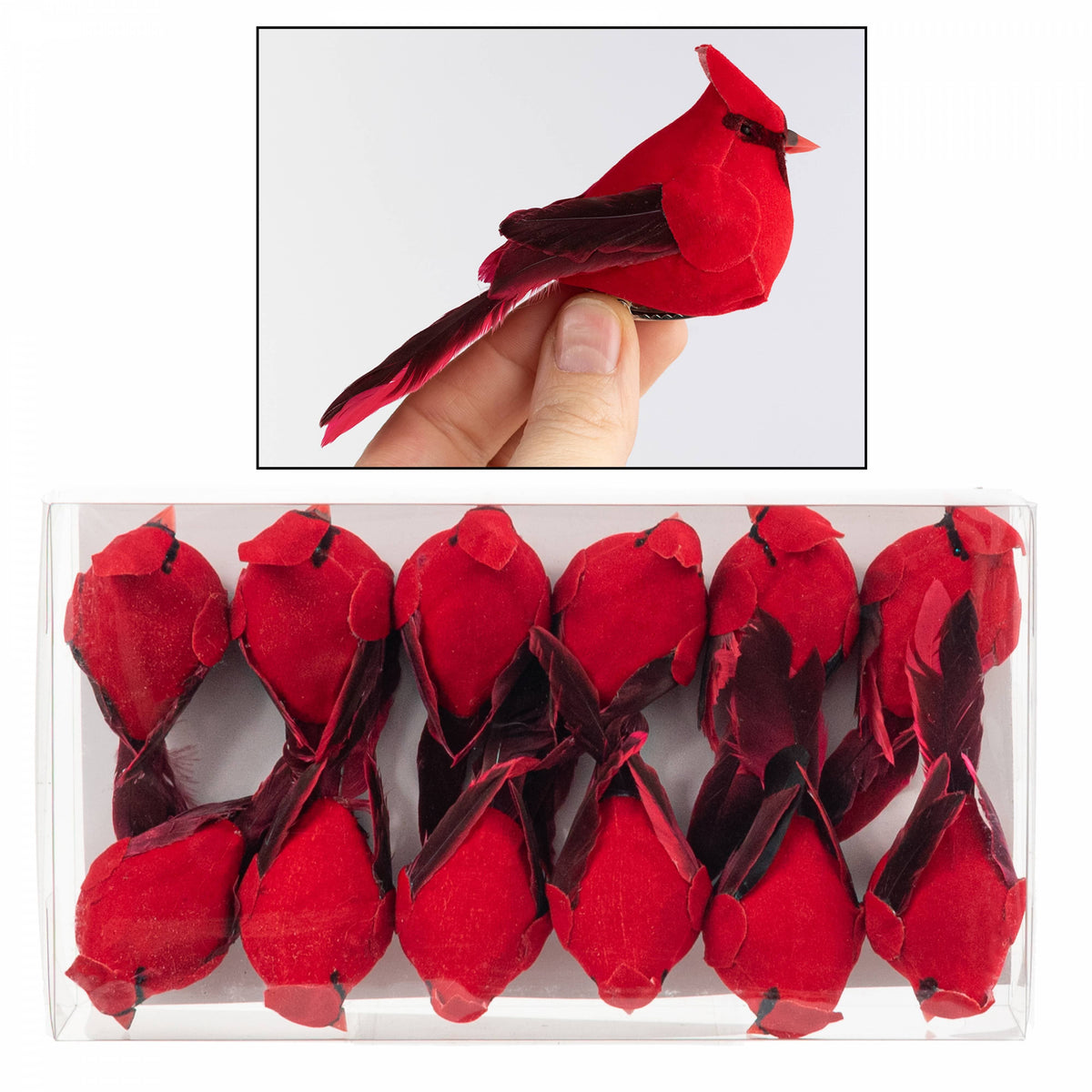Box of twelve clip-on artificial red cardinal bird ornaments with feathered wings, shown with size reference