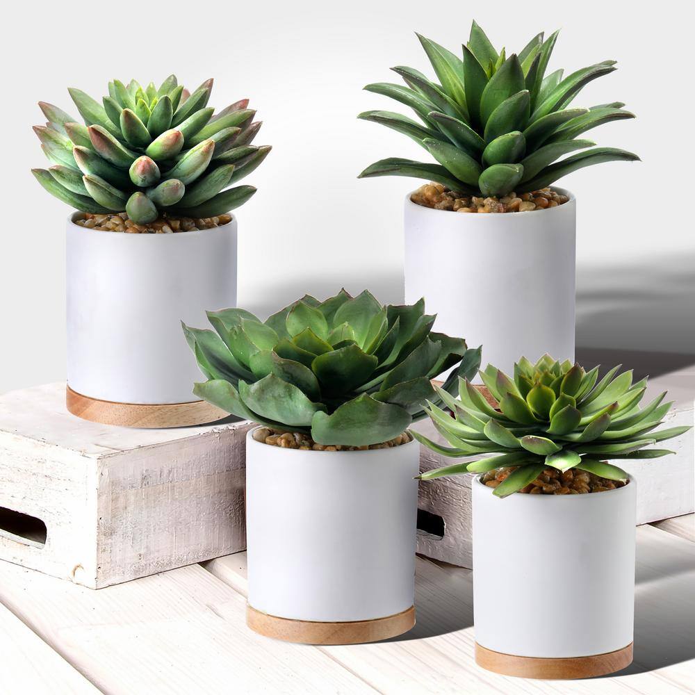 Faux Potted Succulents - 4 Types