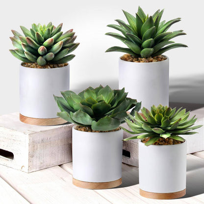 Faux Potted Succulents - 4 Types