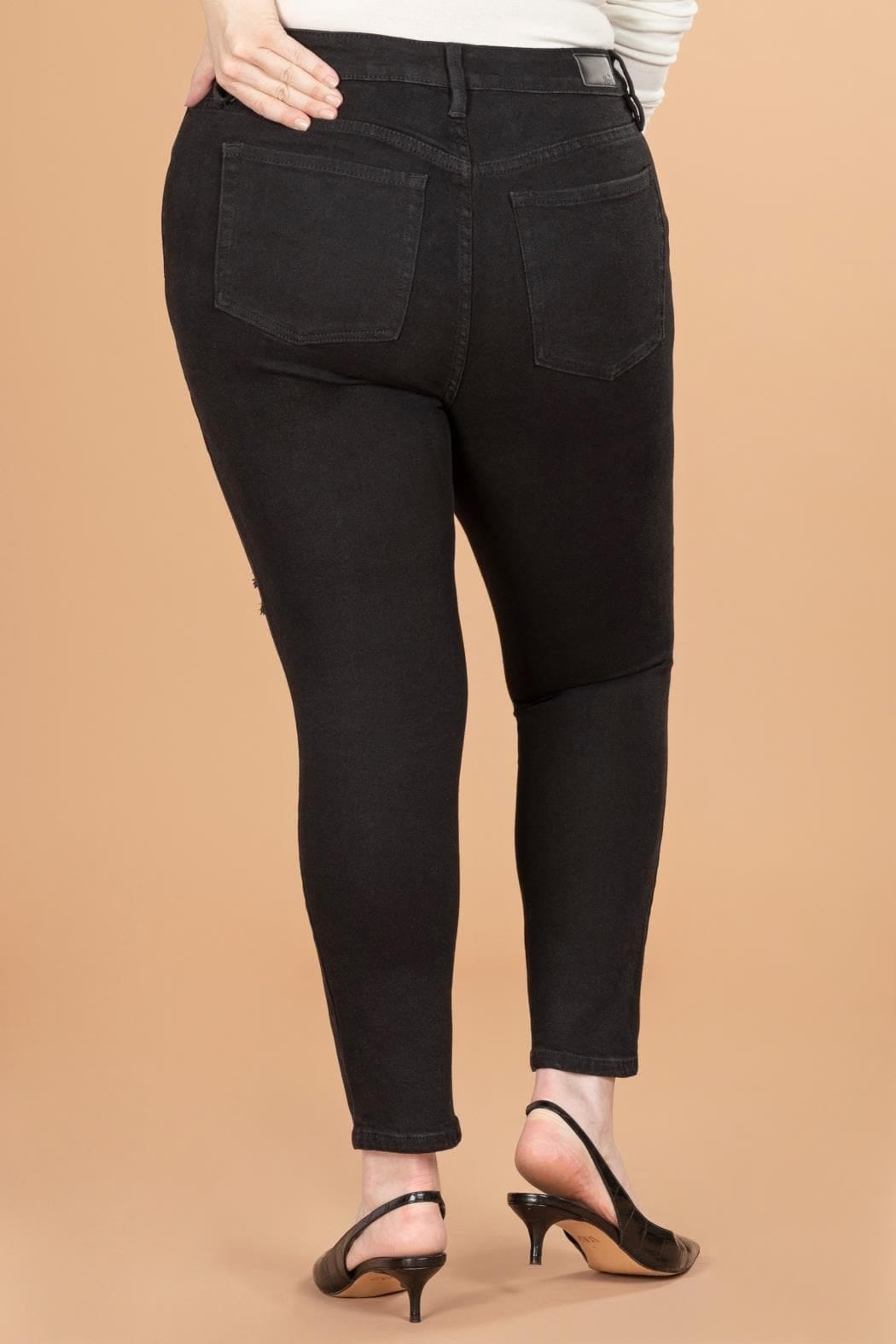 Plus Vintage Dream High Rise Ankle Jean