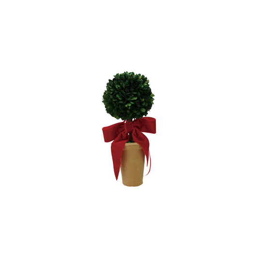 Preserved boxwood ball topiary in terra-cotta pot with red velvet bow