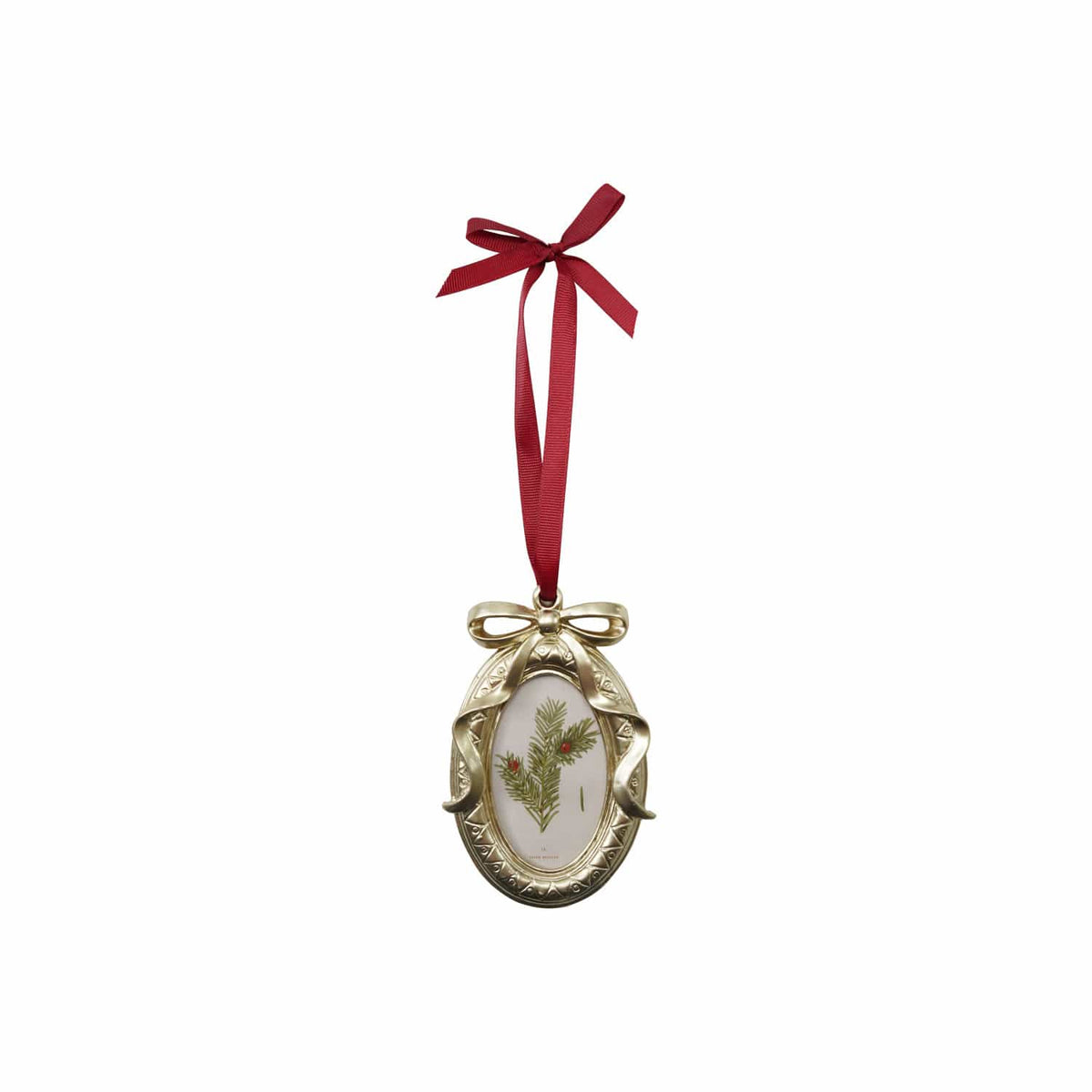 Gold oval resin ornament frame with botanical print and red grosgrain ribbon bow hanger