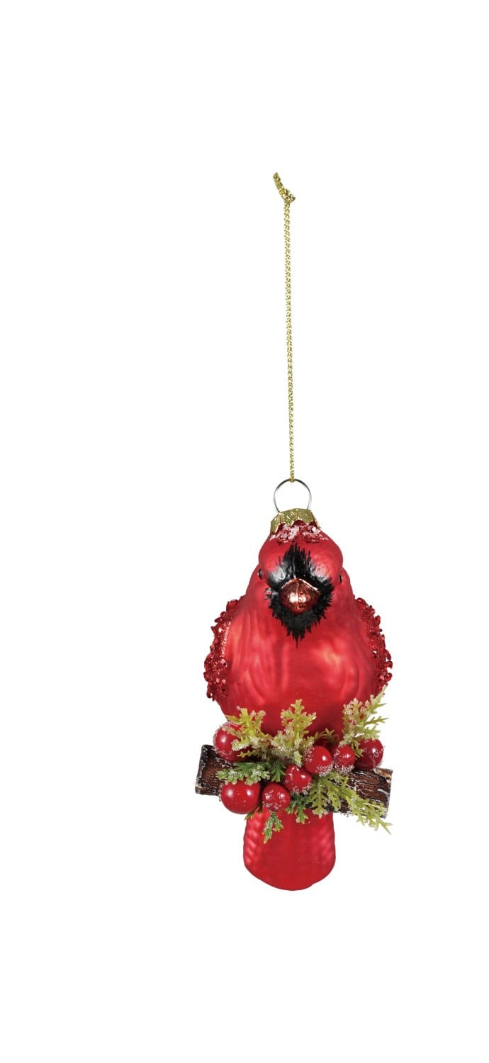 Red cardinal glass Christmas ornament with holly berries and gold hanging cord